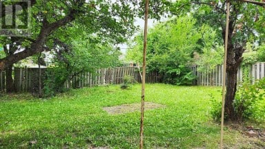 2 ARKONA DRIVE Toronto (Tam O'Shanter-Sullivan) Ontario photo 22