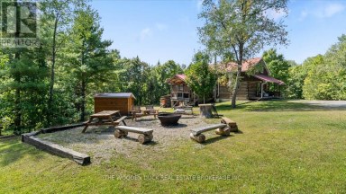 6683 OLD HASTINGS ROAD Tudor and Cashel (Tudor Ward) Ontario photo 38