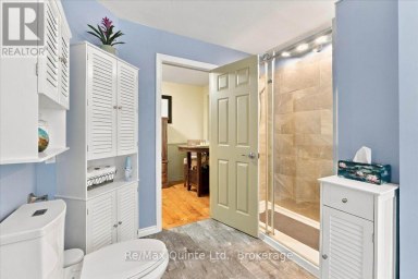 578 OLD APSLEY ROAD North Kawartha Ontario photo 29