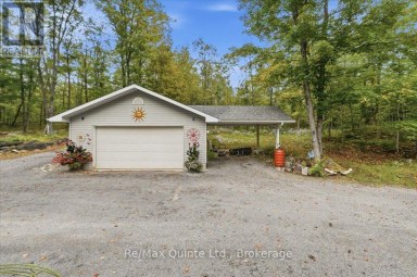 578 OLD APSLEY ROAD North Kawartha Ontario photo 35