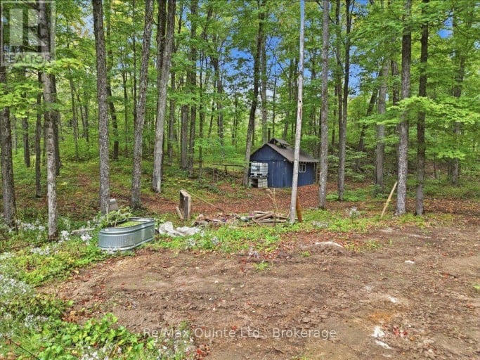 578 OLD APSLEY ROAD, North Kawartha, Ontario, K0L1A0