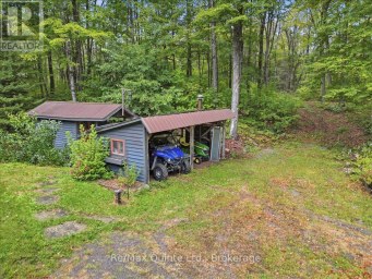 578 OLD APSLEY ROAD North Kawartha Ontario photo 40