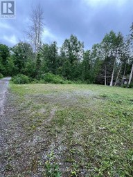 167 SPRUCE LANE Trent Hills (Campbellford) Ontario photo 2