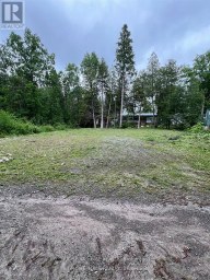 167 SPRUCE LANE Trent Hills (Campbellford) Ontario photo 6