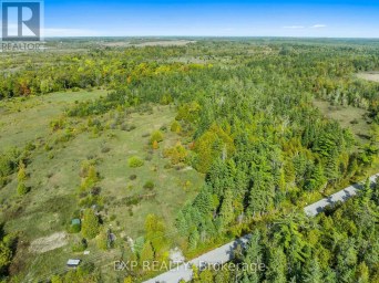 2 TALBOT RIVER ROAD Kawartha Lakes (Carden) Ontario photo 8