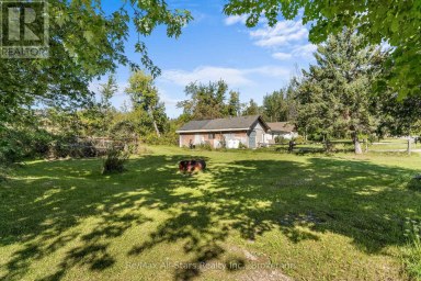 202 WEST STREET S Kawartha Lakes (Fenelon) Ontario photo 31