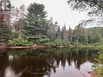 24 FIREHALL LANE Hastings Highlands (Herschel Ward) Ontario photo 15