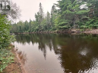 24 FIREHALL LANE Hastings Highlands (Herschel Ward) Ontario photo 16