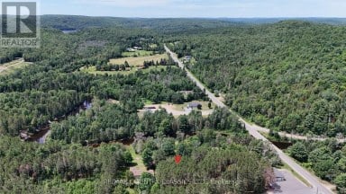 24 FIREHALL LANE Hastings Highlands (Herschel Ward) Ontario photo 44