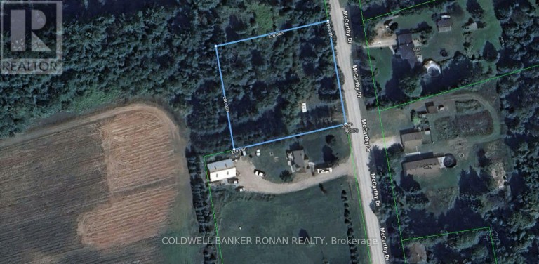 3678 MCCARTHY DRIVE, Clearview, Ontario, L0M1N0