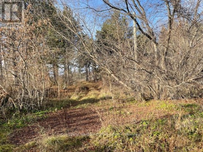 3678 MCCARTHY DRIVE, Clearview, Ontario, L0M1N0