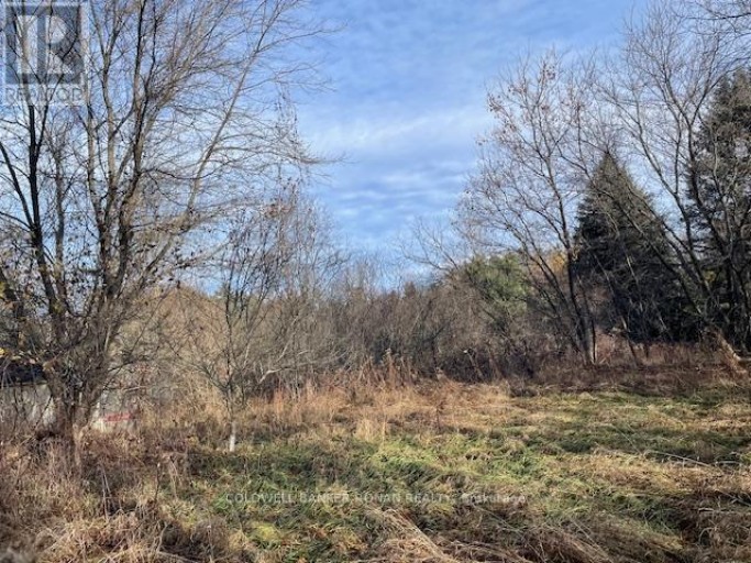 3678 MCCARTHY DRIVE, Clearview, Ontario, L0M1N0