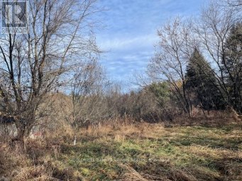 3678 MCCARTHY DRIVE Clearview Ontario photo 4