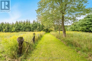 3400 BALDWICK LANE Springwater Ontario photo 41