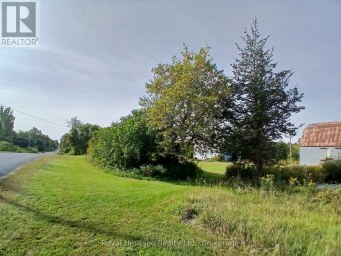 250 SCRIVER ROAD Brighton Ontario photo 26