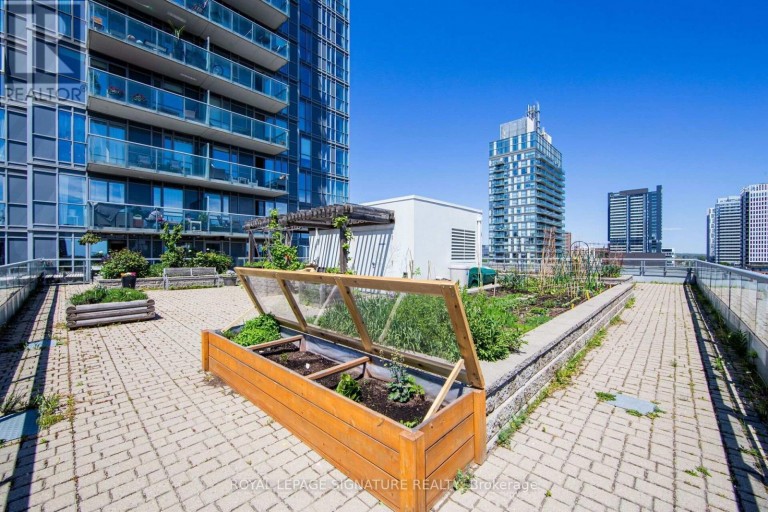 1007 - 25 COLE STREET, Toronto (Regent Park), Ontario, M5A4M3