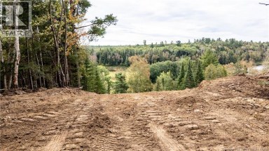 Lot 614 Howard Road Upper Blackville New Brunswick photo 10