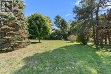 1501 COUNTY ROAD 12 ROAD Prince Edward County (Hallowell Ward) Ontario photo 40
