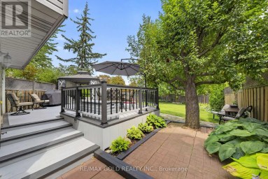15 JACKMAN DRIVE Brampton (Northgate) Ontario photo 37