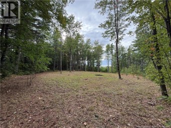 Lot 6 Pine Grove Lane Jemseg New Brunswick photo 11