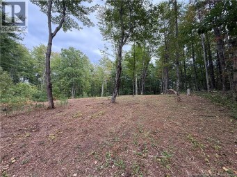 Lot 6 Pine Grove Lane Jemseg New Brunswick photo 12