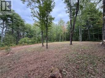 Lot 6 Pine Grove Lane Jemseg New Brunswick photo 13