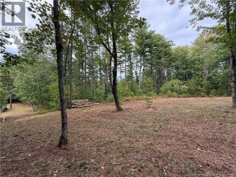 Lot 6 Pine Grove Lane Jemseg New Brunswick photo 14