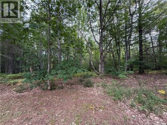 Lot 6 Pine Grove Lane Jemseg New Brunswick photo 15