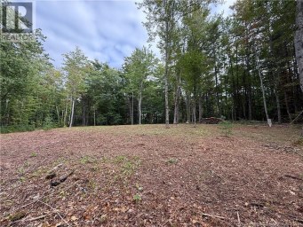 Lot 6 Pine Grove Lane Jemseg New Brunswick photo 17