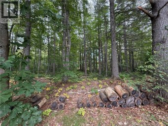 Lot 6 Pine Grove Lane Jemseg New Brunswick photo 19