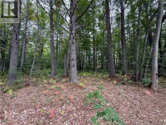 Lot 6 Pine Grove Lane Jemseg New Brunswick photo 20