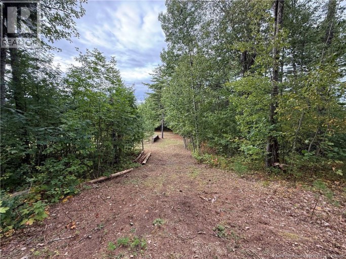 Lot 6 Pine Grove Lane, Jemseg, New Brunswick, E4C4L7
