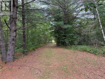 Lot 6 Pine Grove Lane Jemseg New Brunswick photo 23