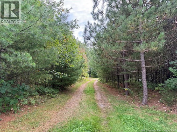Lot 6 Pine Grove Lane, Jemseg, New Brunswick, E4C4L7