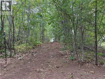 Lot 6 Pine Grove Lane Jemseg New Brunswick photo 25