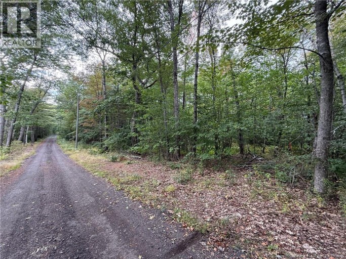 Lot 6 Pine Grove Lane, Jemseg, New Brunswick, E4C4L7