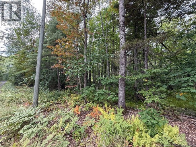 Lot 6 Pine Grove Lane, Jemseg, New Brunswick, E4C4L7