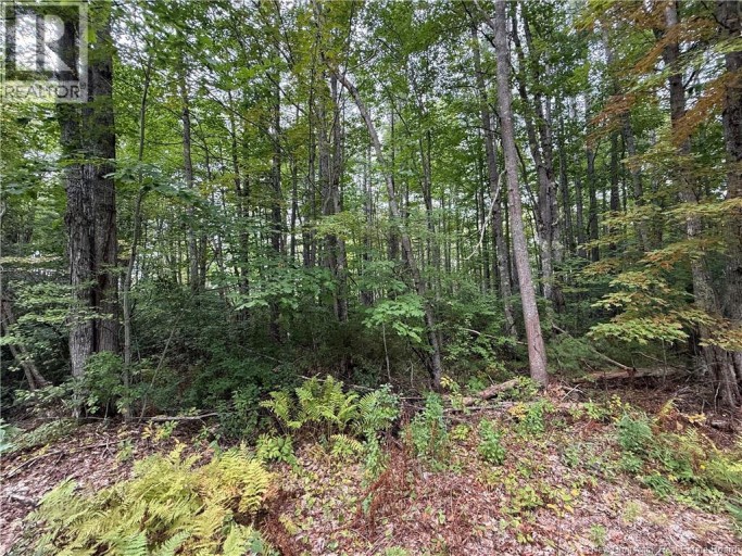 Lot 6 Pine Grove Lane, Jemseg, New Brunswick, E4C4L7