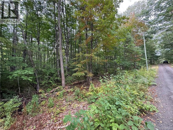 Lot 6 Pine Grove Lane, Jemseg, New Brunswick, E4C4L7