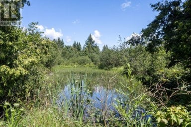 982 PORTER ROAD Kawartha Lakes (Manvers) Ontario photo 40