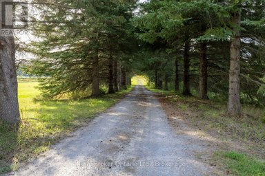 982 PORTER ROAD Kawartha Lakes (Manvers) Ontario photo 44