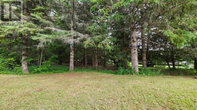 32 WILDROSE CIRCLE Trent Hills Ontario photo 37