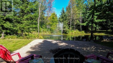1017 CLEMENT LAKE ROAD Highlands East (Monmouth) Ontario photo 2