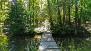 1017 CLEMENT LAKE ROAD Highlands East (Monmouth) Ontario photo 43