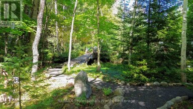 1017 CLEMENT LAKE ROAD Highlands East (Monmouth) Ontario photo 44