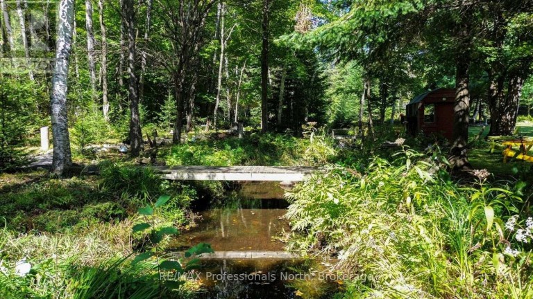 1017 CLEMENT LAKE ROAD, Highlands East (Monmouth), Ontario, K0L3C0