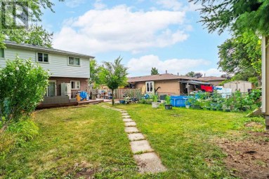 81 GLENMORE CRESCENT Brampton (Northgate) Ontario photo 25