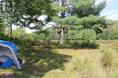 LT 22-24 CON 1 LAKE Marmora and Lake (Lake Ward) Ontario photo 21