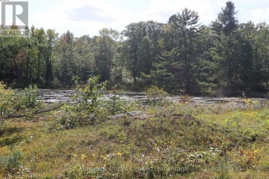 LT 22-24 CON 1 LAKE Marmora and Lake (Lake Ward) Ontario photo 24