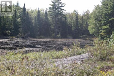 LT 22-24 CON 1 LAKE Marmora and Lake (Lake Ward) Ontario photo 25